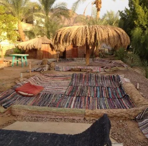 Kemping Elbadawy Camp