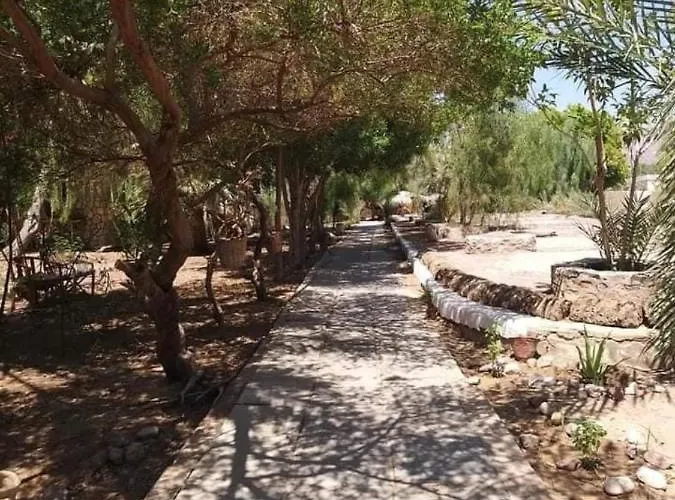 Elbadawy Camp Nuweiba`